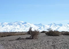 Invierno bajo la influencia de El Niño: habrá más nevadas de lo normal pero las temperaturas serán altas