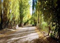 El clima en Calingasta: el martes  se presentará algo nublado y caluroso