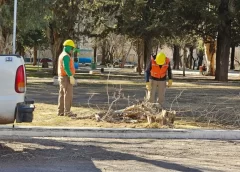 Inicia el período de poda en San Juan: Cómo solicitar autorización en Calingasta