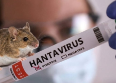 San Juan refuerza controles sanitarios ante el aumento de casos de hantavirus en el país