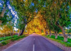 Best Tourism Villages: Calingasta busca ser uno de los lugares más destacados en el mundo