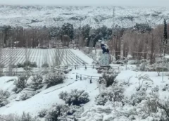 La nieve que ilusiona a San Juan: esperan una recuperación de los ríos tras décadas de sequía